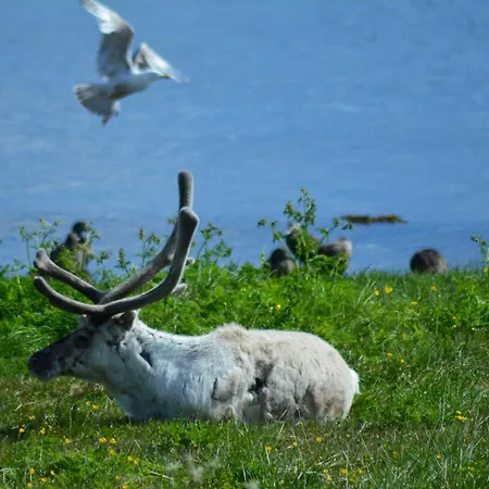 호텔 Arctic Boutique Hotel Northcape